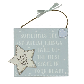 THE SMALLEST THINGS BOY PLAQUE