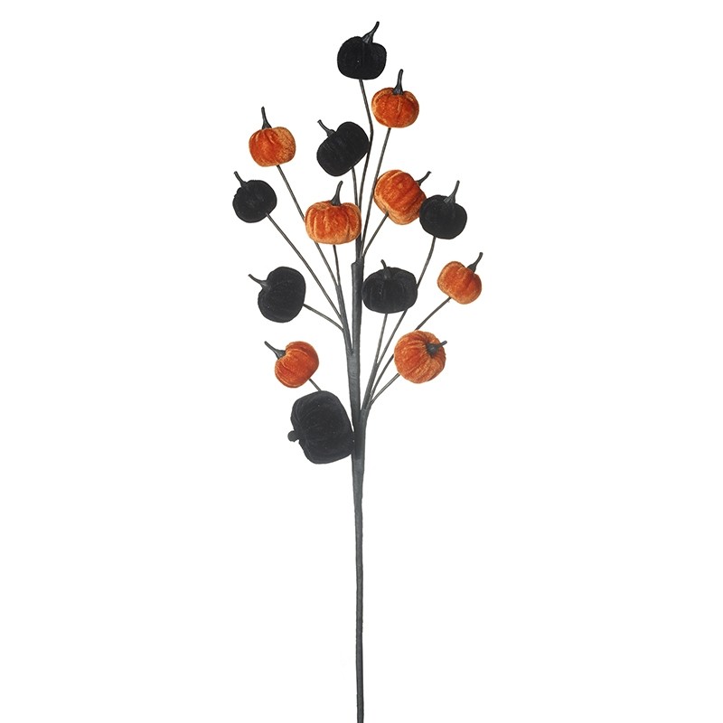 KAA024.JPG_2 VELVET PUMPKINS BRANCH - Image 1