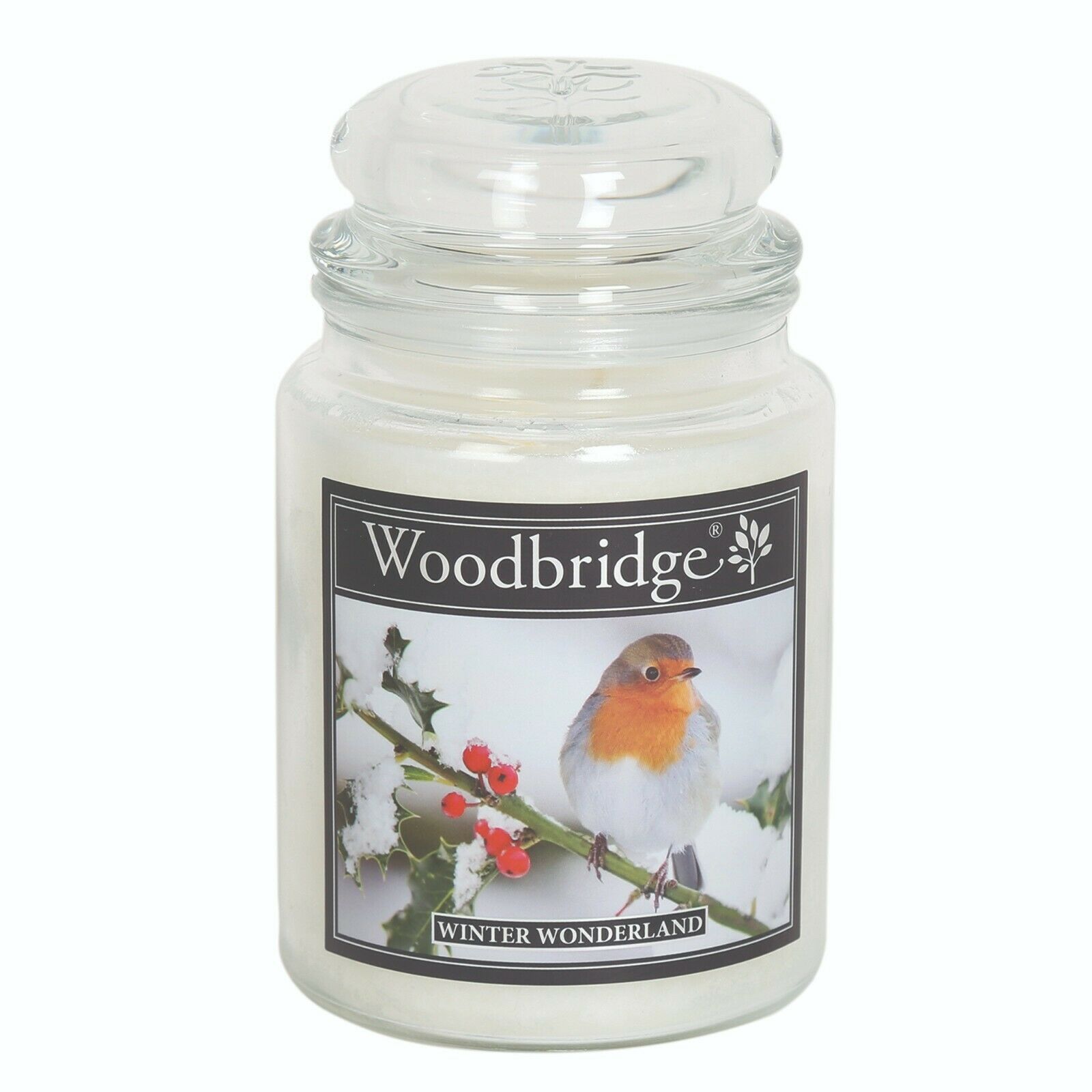 s-l1600 (8) WINTER WONDERLAND LARGE GLASS JAR CANDLE - Image 1