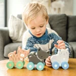 KITTY WOODEN PUSH TOYS