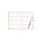 Luna Moth Daily Reflection Journal and Clear Quartz Crystal Pen - Image 5