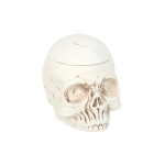 Weathered Skull Oil Burner and Wax Warmer - Image 3