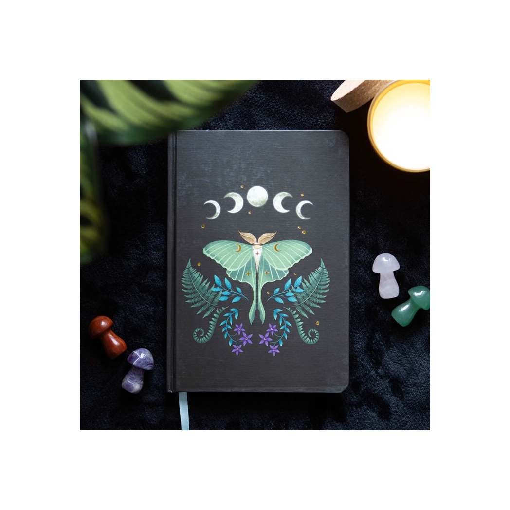 Luna Moth A5 Notebook - Image 1