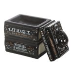 Black Cat Book Stack Oil Burner with Cat - Image 3