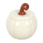 White Curly Pumpkin Oil Burner - Image 2