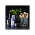 Poisonous Plants Book Shaped Vase - Image 5